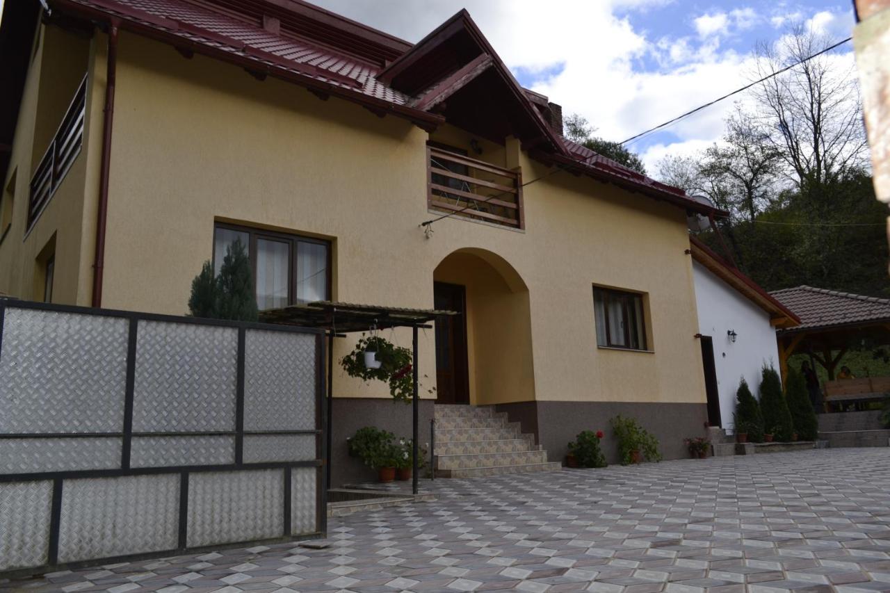 Pensiunea Malinul Bîrsana Esterno foto