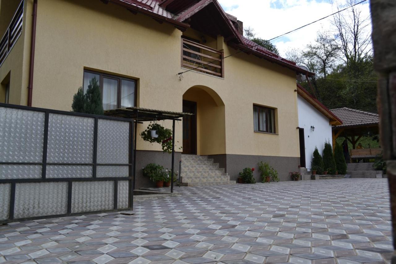 Pensiunea Malinul Bîrsana Esterno foto