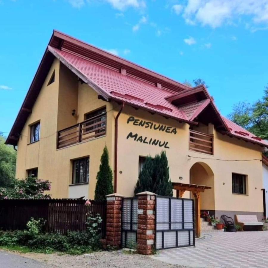 Pensiunea Malinul Bîrsana Esterno foto
