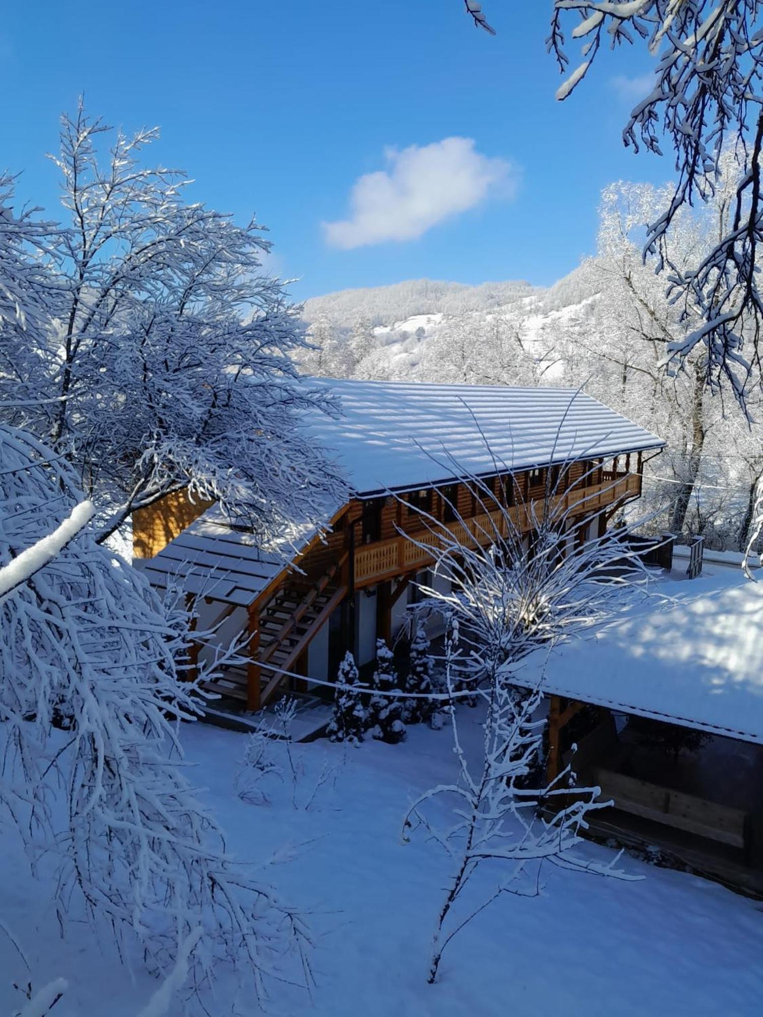 Pensiunea Malinul Bîrsana Esterno foto
