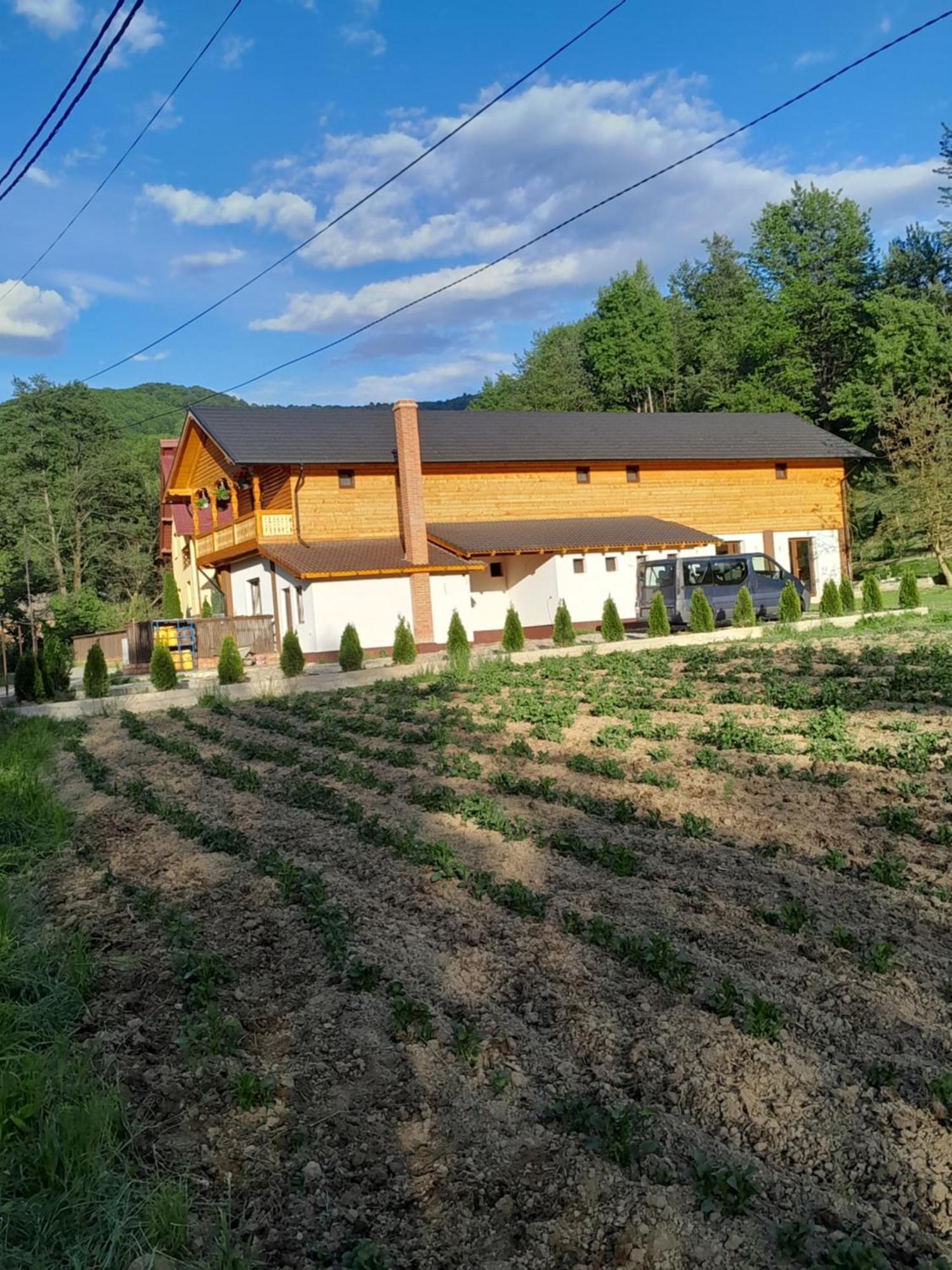 Pensiunea Malinul Bîrsana Esterno foto